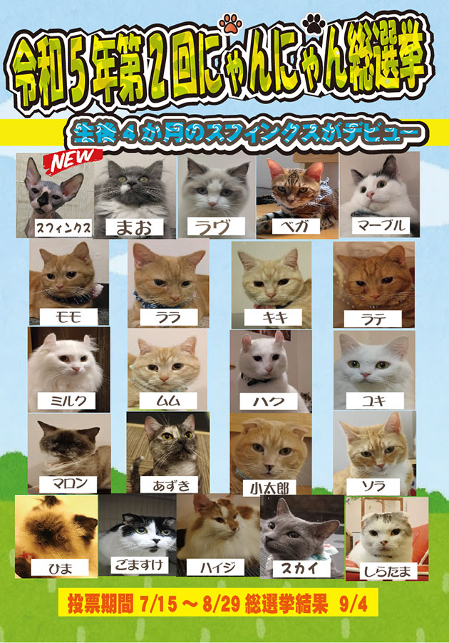 ゲーム